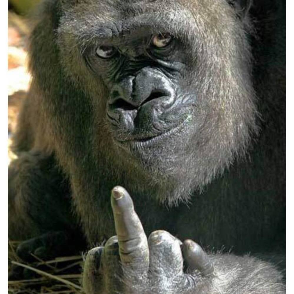 Meet your Posher, Ba